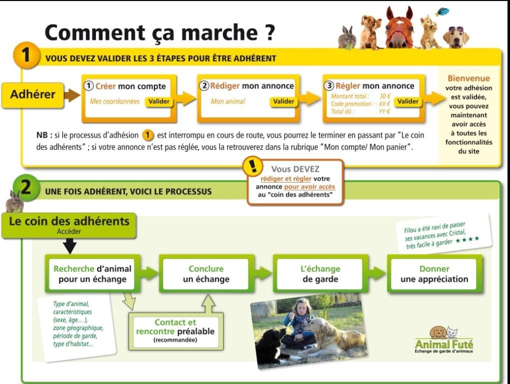 Animal futé comment ça marche