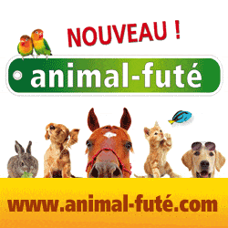 Animal futé gif