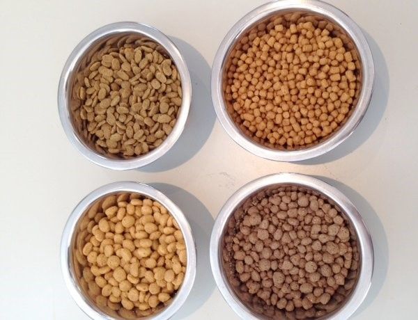 1 Alimentation Extrudès pour perroquets