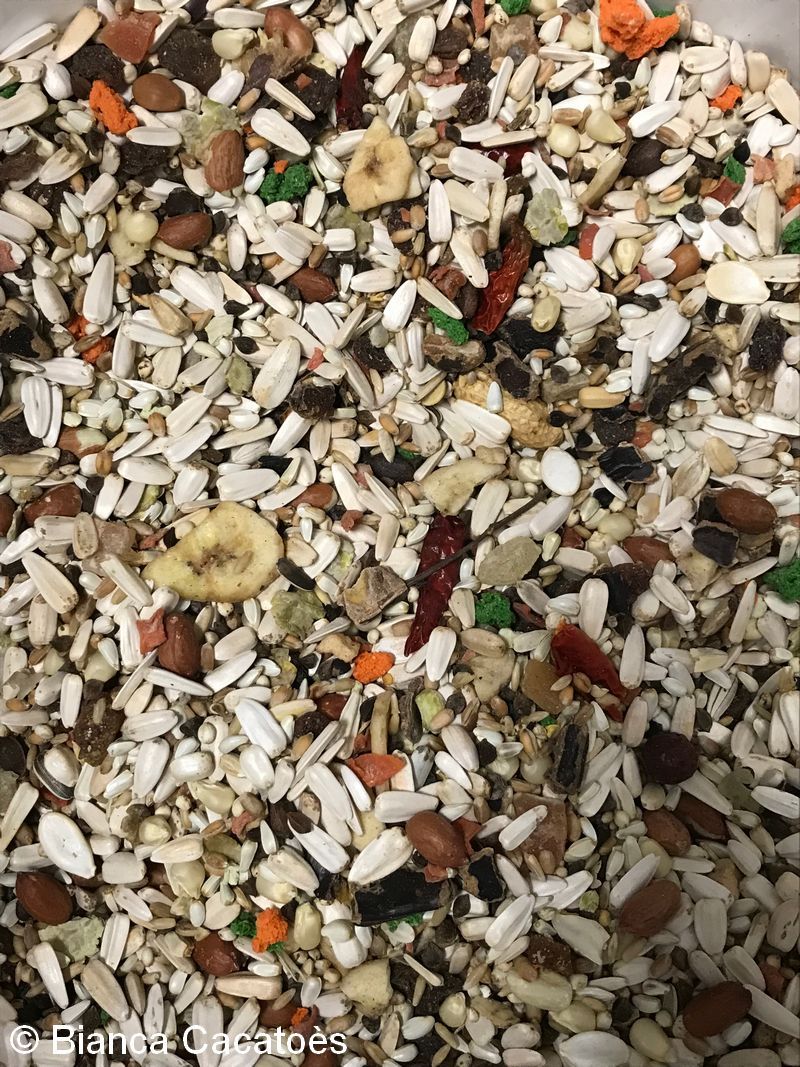 1 Alimentation Mélange graines perroquets 2