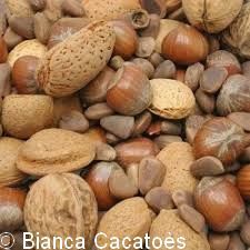 1 Alimentation Noix noisettes pour perroquets