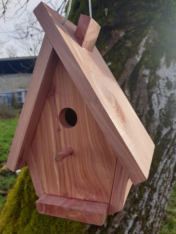 maison mésange bleue
