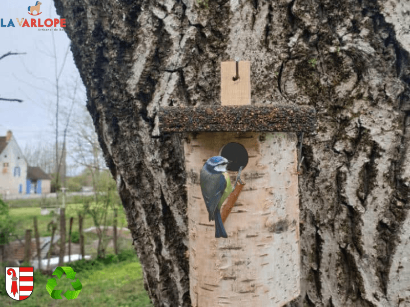 Nichoir à oiseaux : les 10 choses à savoir avant l'installation