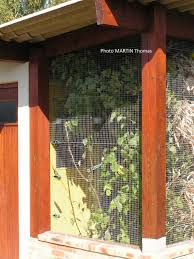 7 photo volière gazon