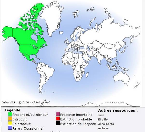 Répartition géographique Roselin Mexique