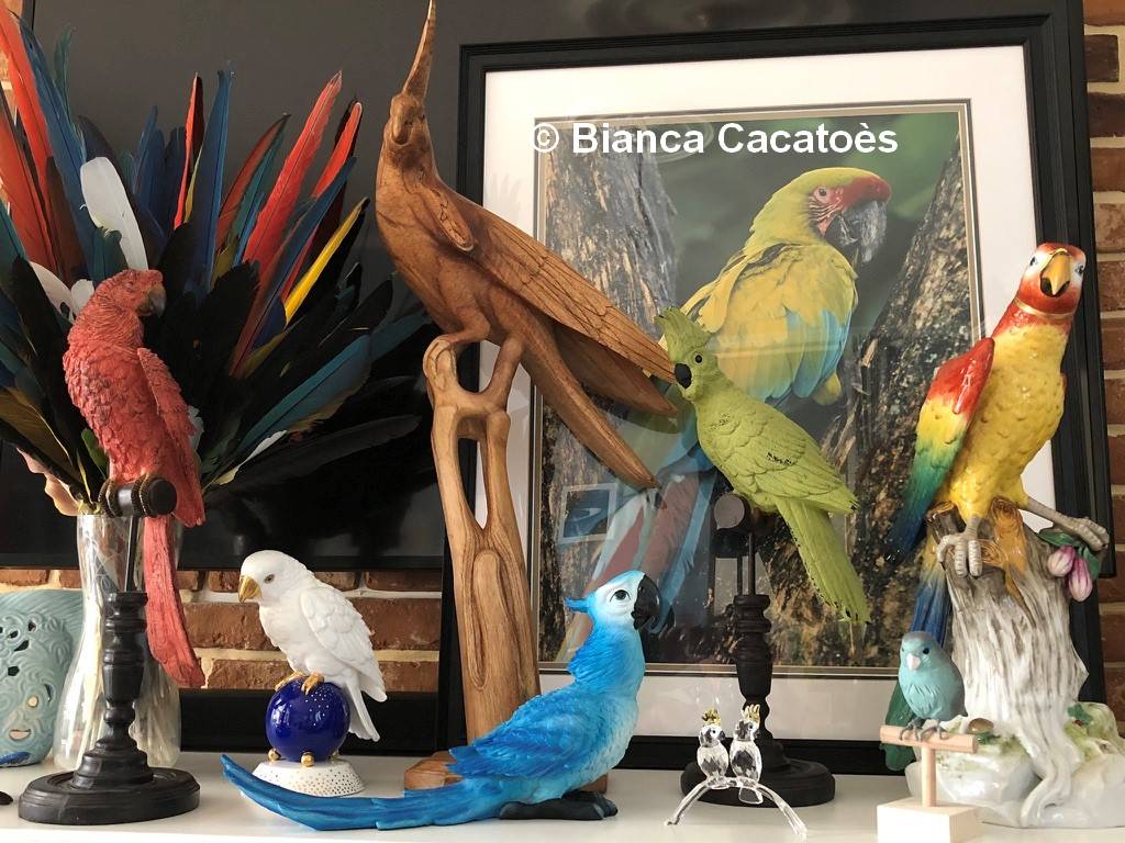 2 vivre avec un perroquet figurines
