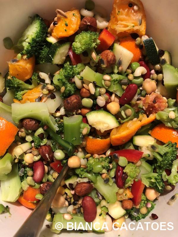 2 vivre avec un perroquet préparation fruits légumes