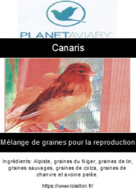 Mélange-graines-canaris