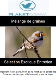 mélange pour oiseaux exotiques