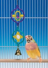 Jouet double anneaux pour oiseaux