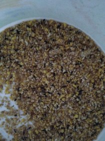 Patee EGG 5kg