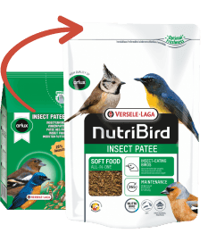 pâtée aux insectes pour pinsons