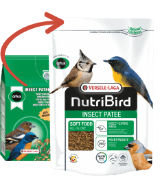 Animalis - Mélange de Graines pour Oiseaux des Jardins - 1Kg