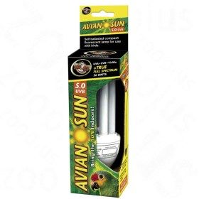 Ampoule oiseau Avian Sun