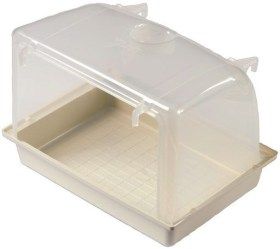 Baignoire pour perruches