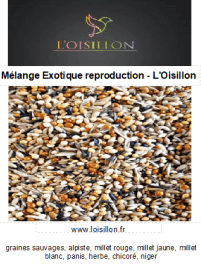 mélange de graines reproduction pour oiseaux exotiques de l'Oisillon