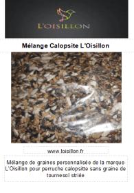 mélange de graines calopsitte 1 KG