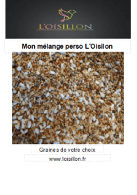 Mélange de graines personnel pour oiseaux