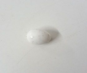 Faux oeufs blancs