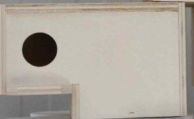 Nid maison pour oiseaux exotiques