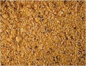 Pâtée soft insectes pour oiseau