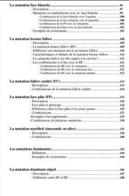 Livre les secrets calopsitte