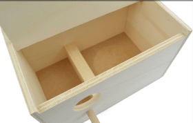 Nid bois pour inséparables