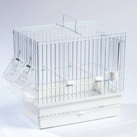 cage de transport cardellinne