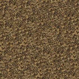Graines de chardon marie pour oiseaux indigènes chardonnerets tarins