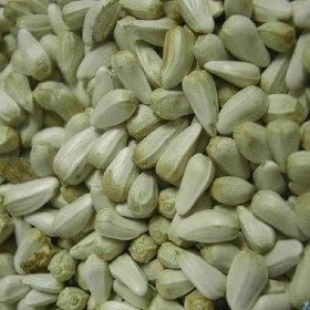 graine de cardi 1 kg