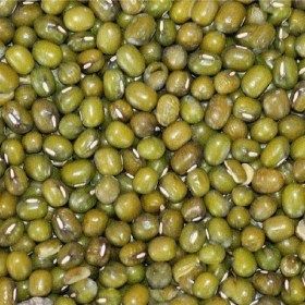 graine de soja 1kg