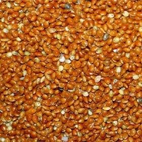 millet rouge