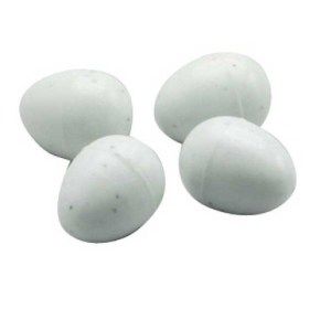 oeufs pour grandes perruches