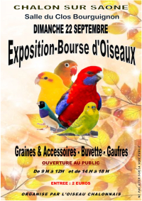 Blog - L'Oisillon - La Boutique Oiseaux