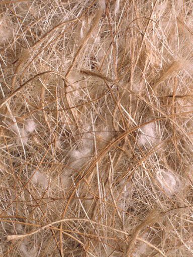 Bourre de coco, sisal et jute
