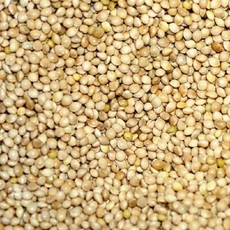 Millet rond blanc