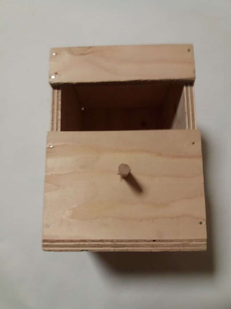 Nid en bois pour padda de Java