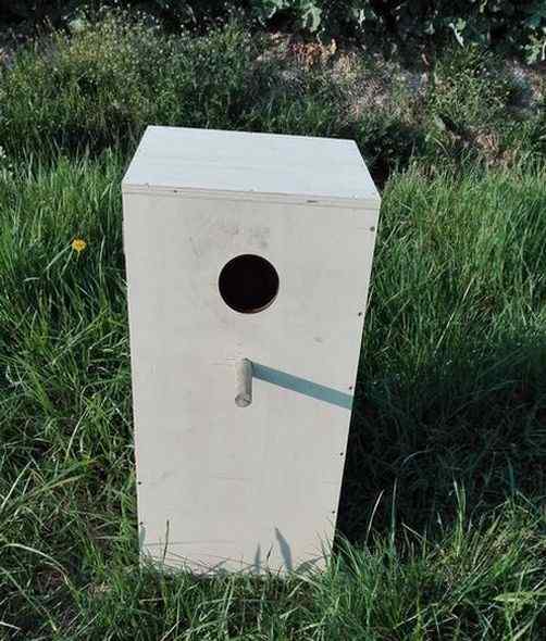 Nid en bois pour grande perruche