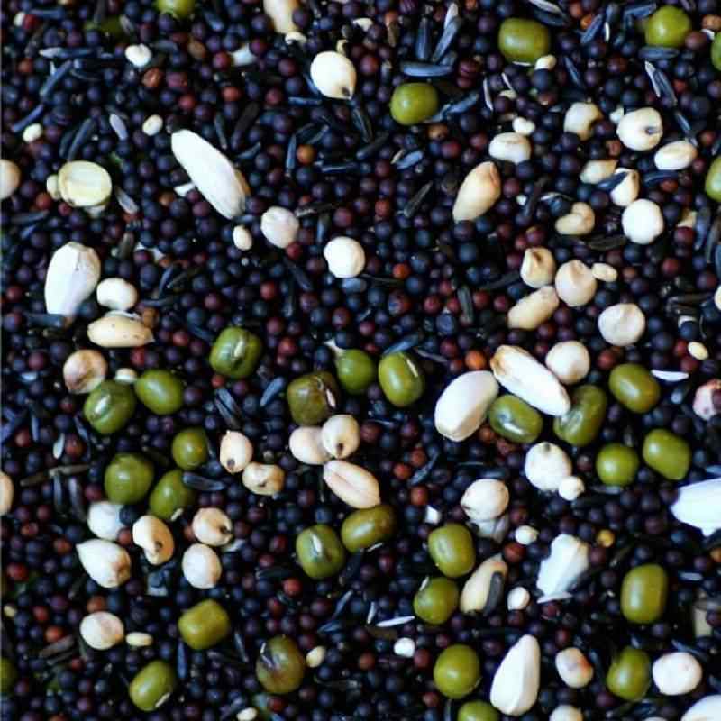 Mélange de graines à germer