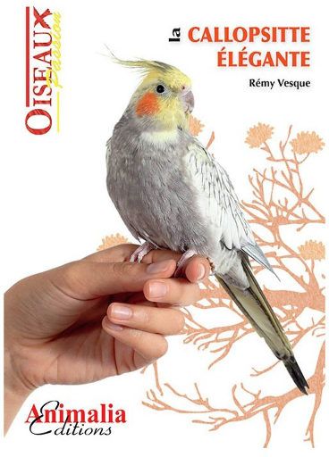 Guide La Calopsitte élégante