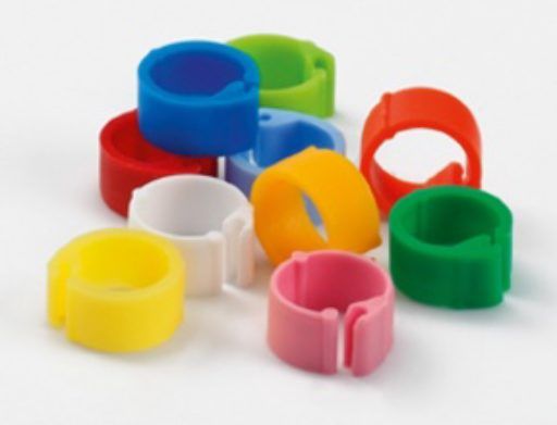 10 Bagues Clip 8 MM