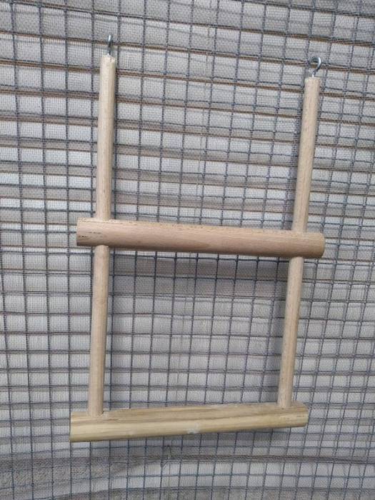 Balance perruche