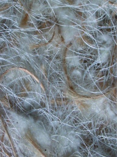 Bourre coton jute fibre de coton 100g