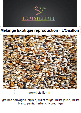 Exotique reproduction l'Oisillon