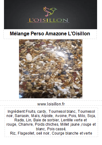 Mélange Perso Amazone l'Oisillon
