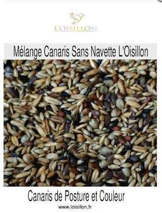 Mélange Canaris Sans Navette l'Oisillon