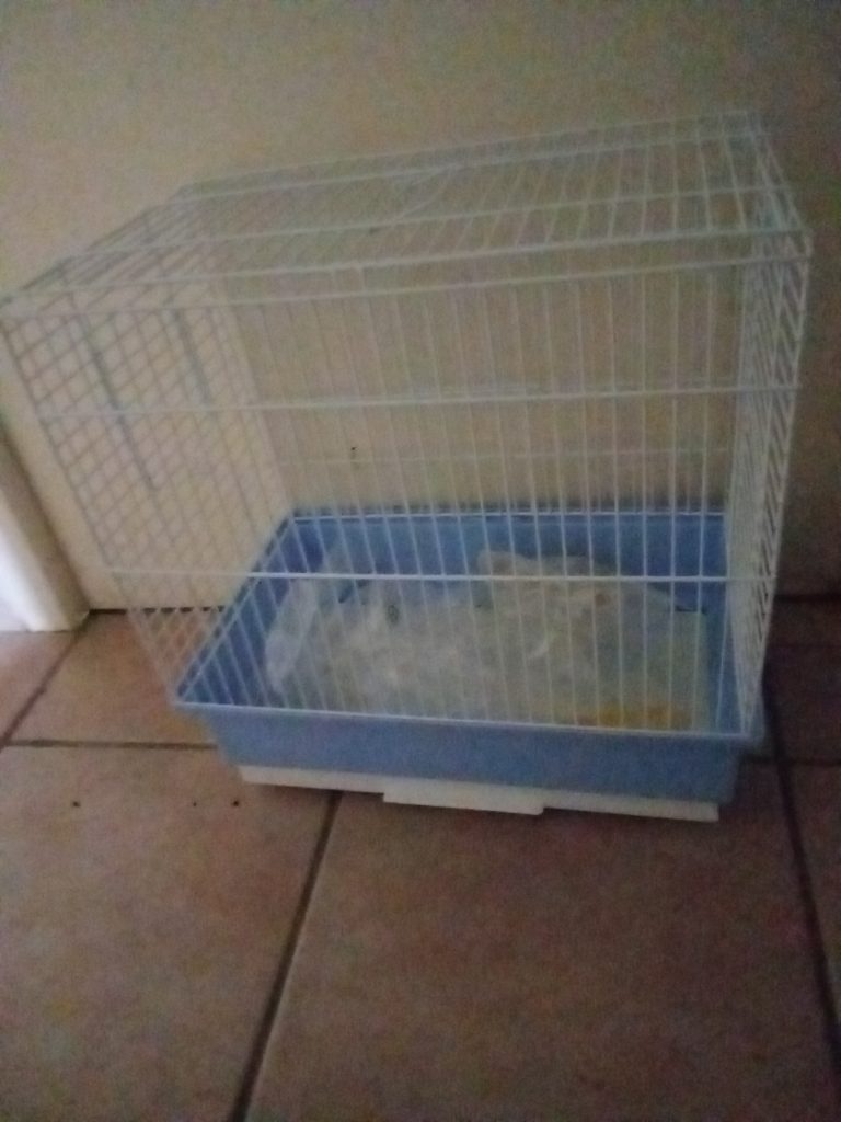 Cage