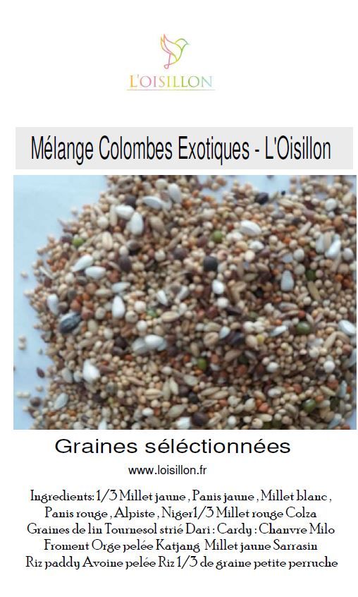 Mélange Colombes Exotiques l' Oisillon