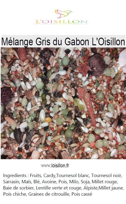 Mélange Gris du Gabon l'Oisillon