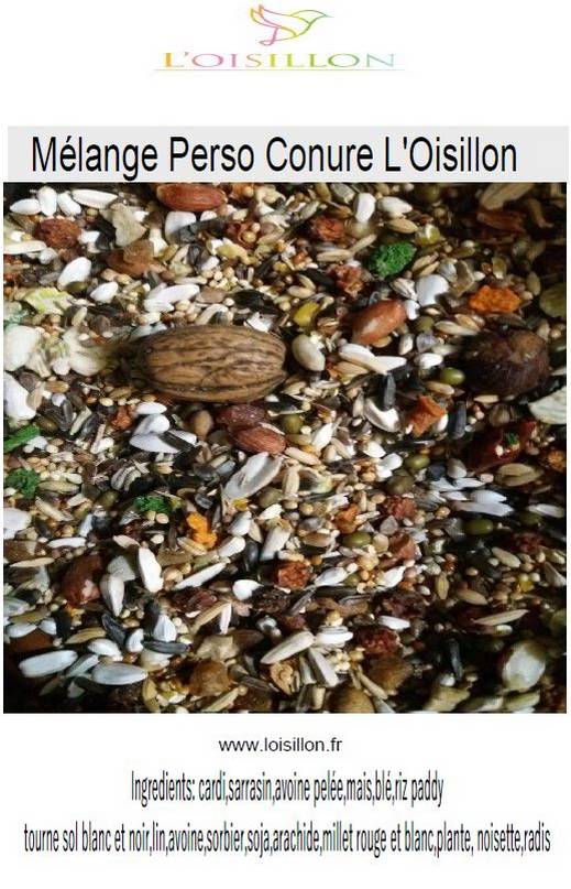 Mélange Perso Conure l'Oisillon